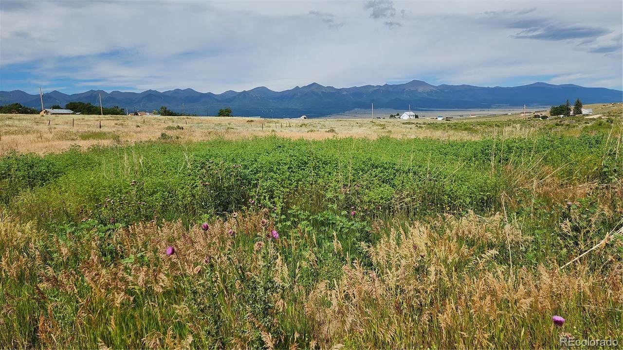 420 Belford Street - Photo 1