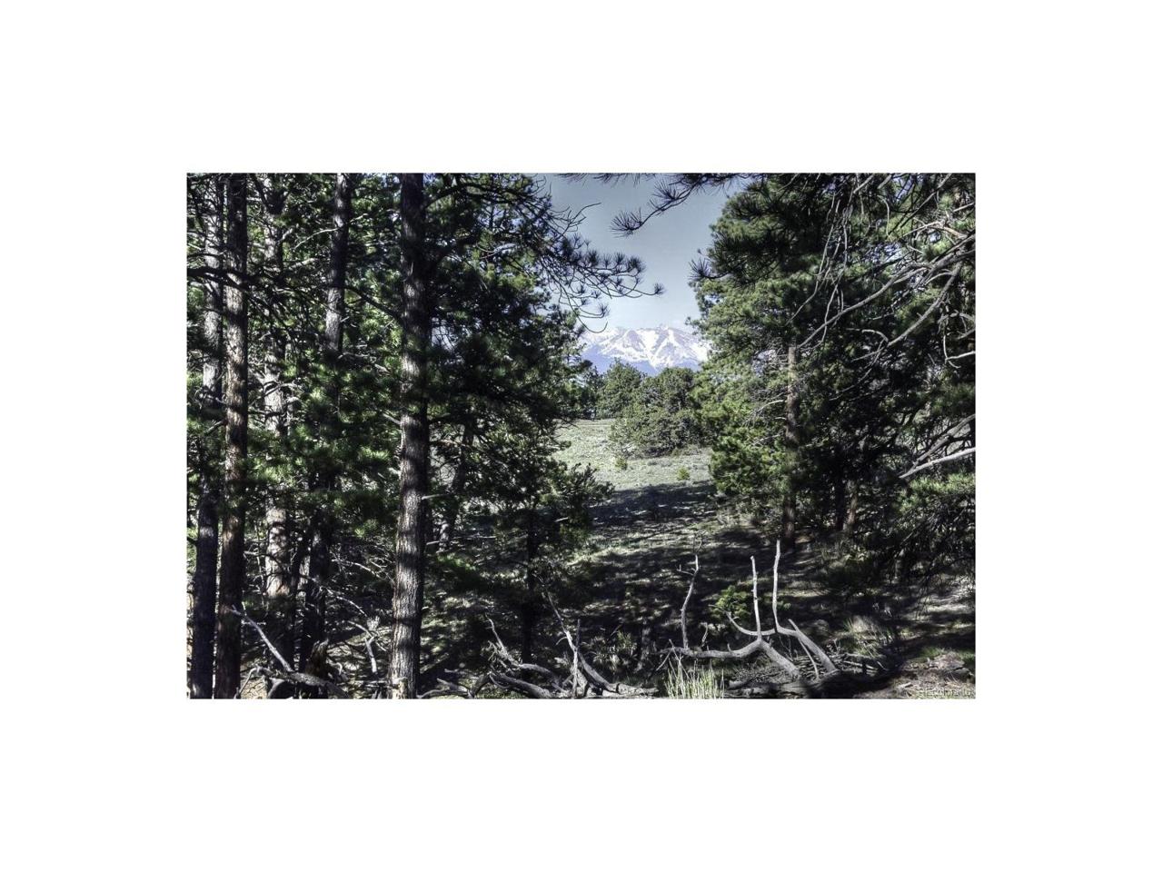 155 Ute Trail - Photo 1