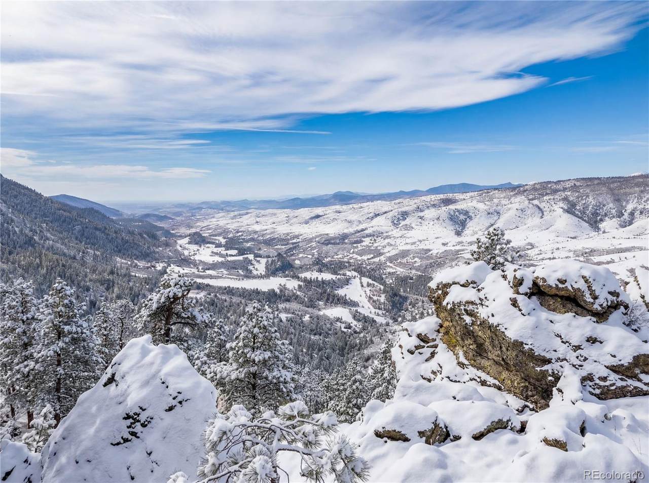 9316 Tawny Lynx Road - Photo 1