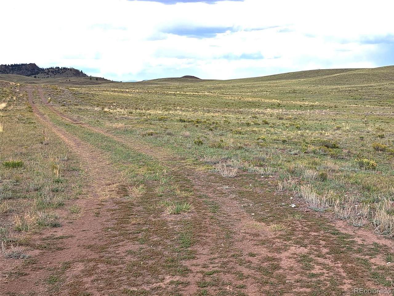 217 Black Gatto Trail - Photo 1