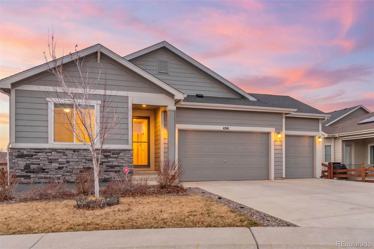 4541 Valdai Way - Photo 1