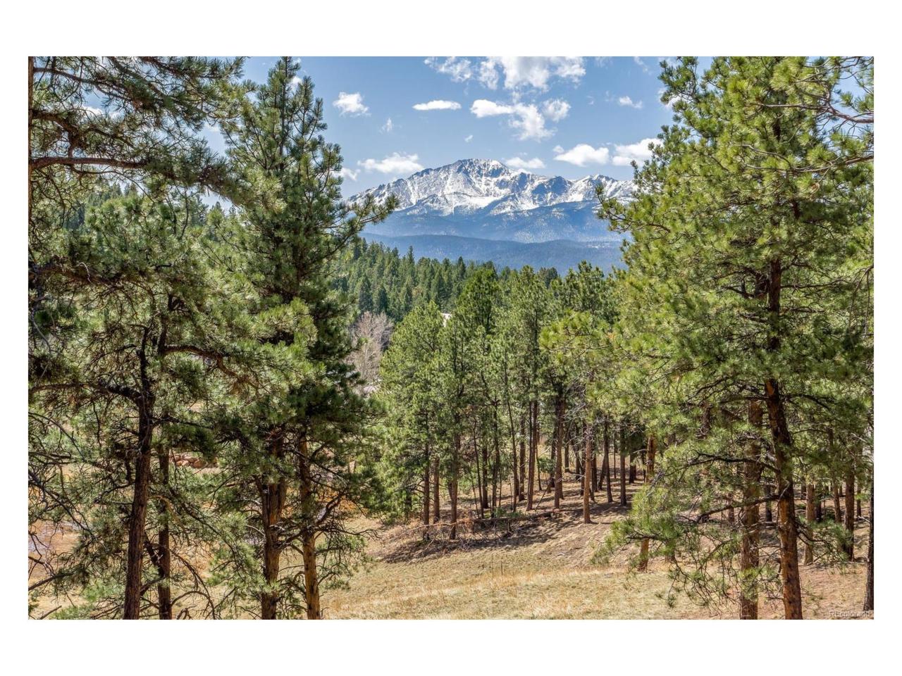 951 Spacious Skies Drive - Photo 1