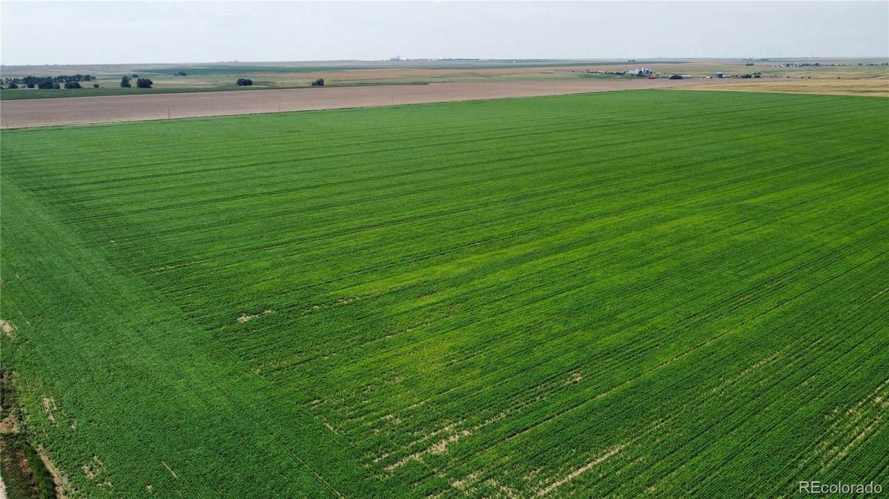  County Road 33 - Photo 1