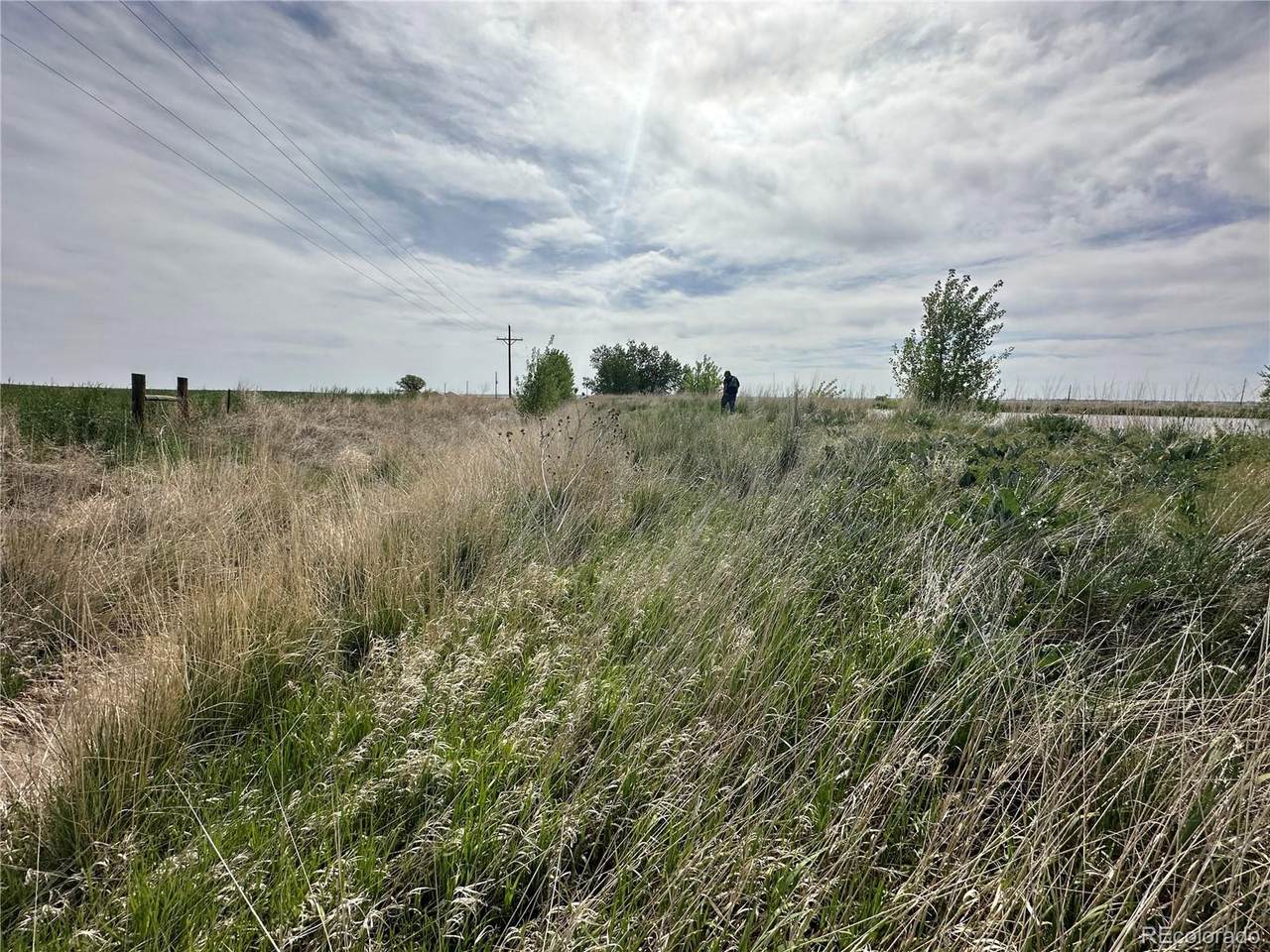 8920 Cr39 - Photo 1