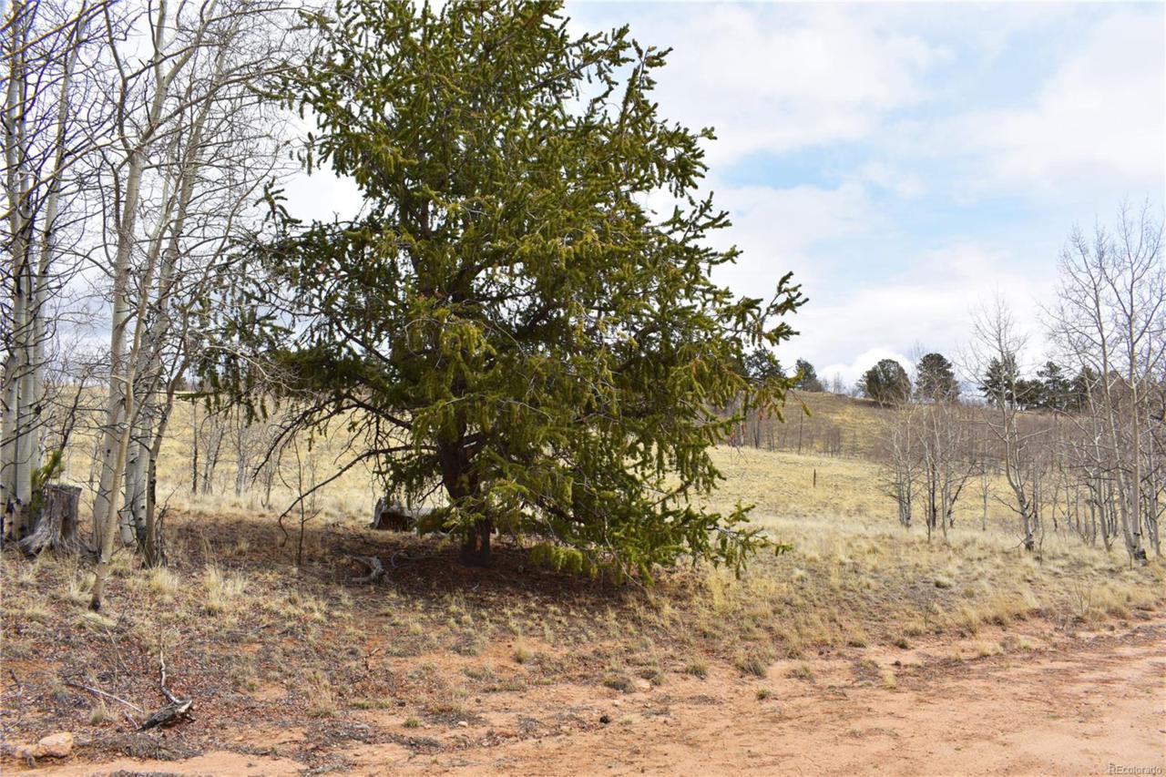 406 Bob White Circle - Photo 1