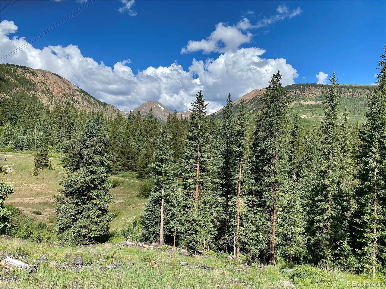 1141 Co Road 698 - Photo 1