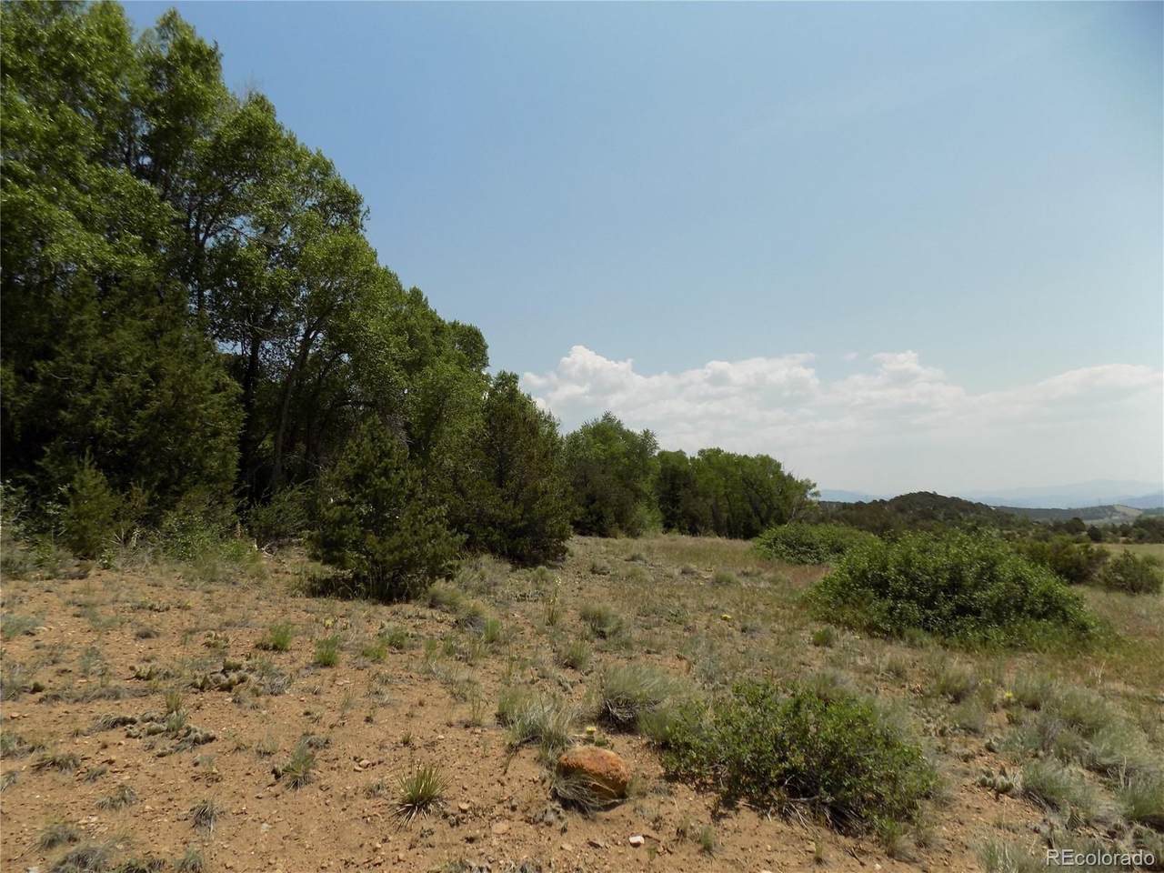 16116 Rocky Mountain Road - Photo 1