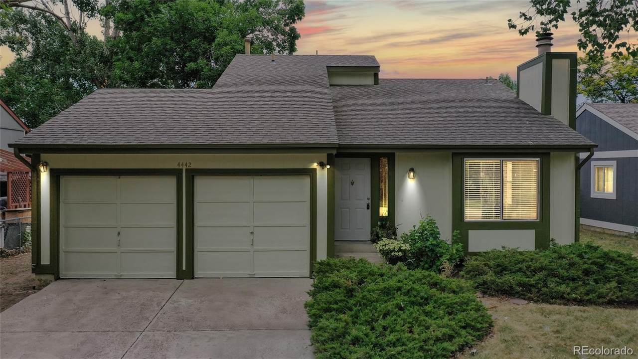 4442 Hollyhock Street - Photo 1