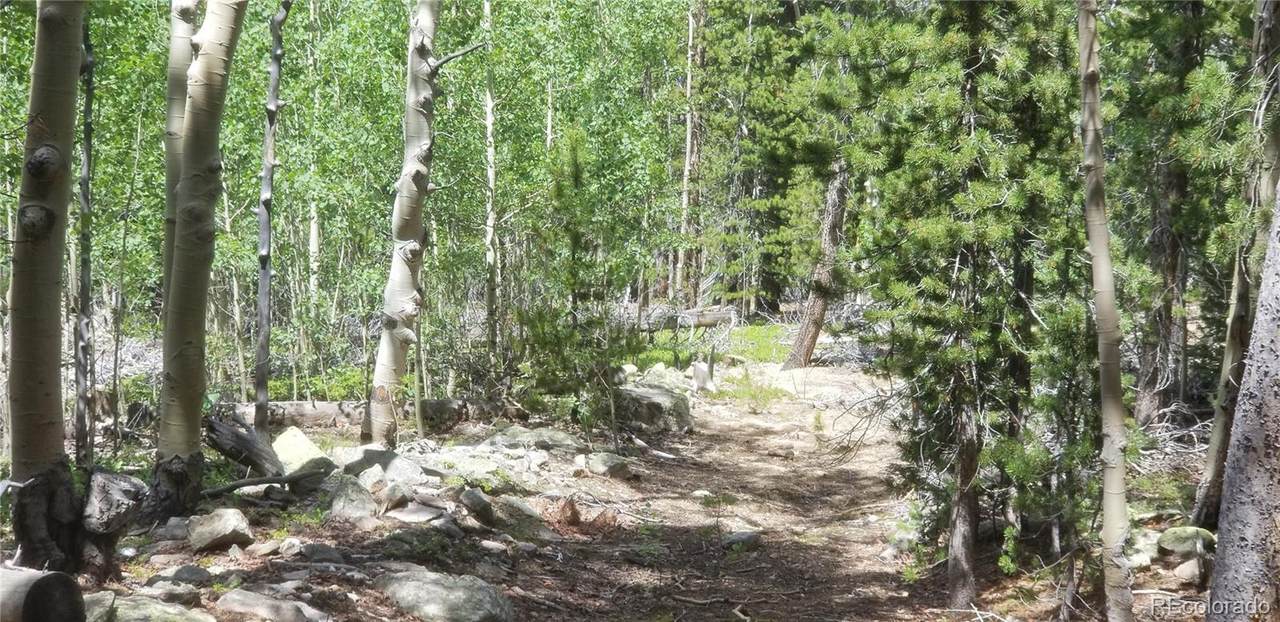 000 Spring Gulch Road - Photo 1