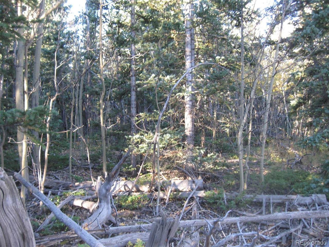 62 Kenosha Circle - Photo 1