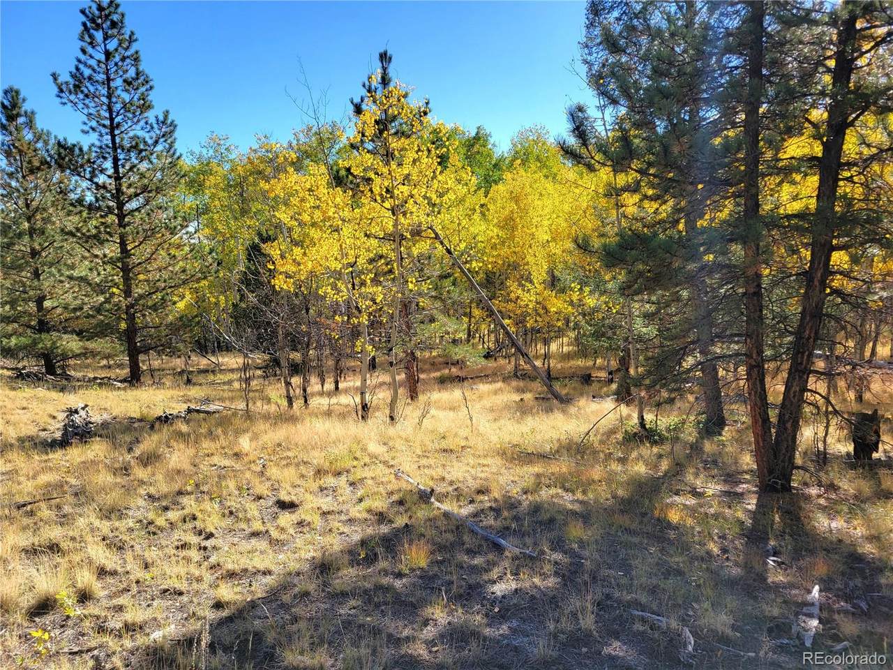 #2 County Road 12 - Photo 1
