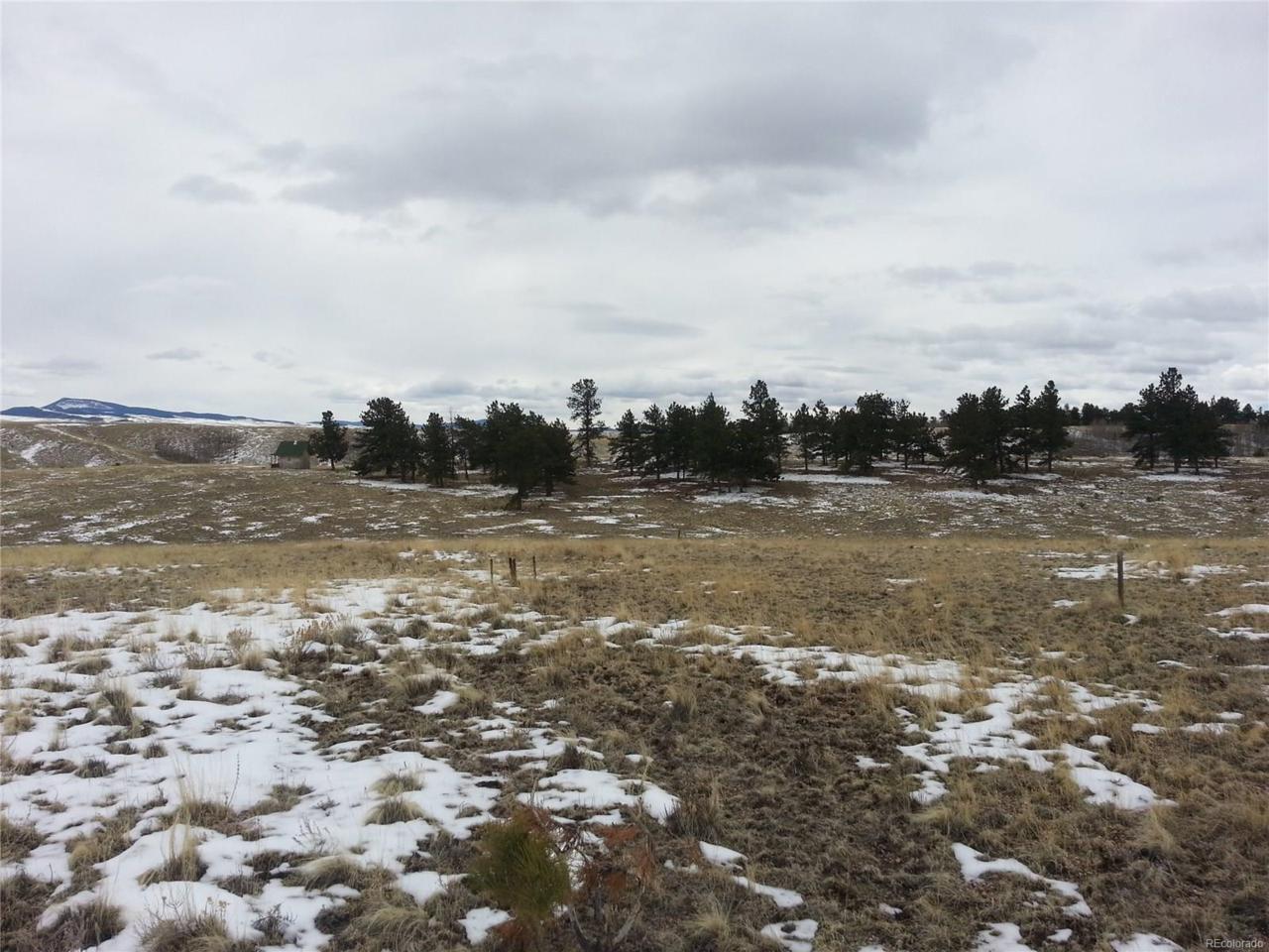 767 Brahma Circle - Photo 1