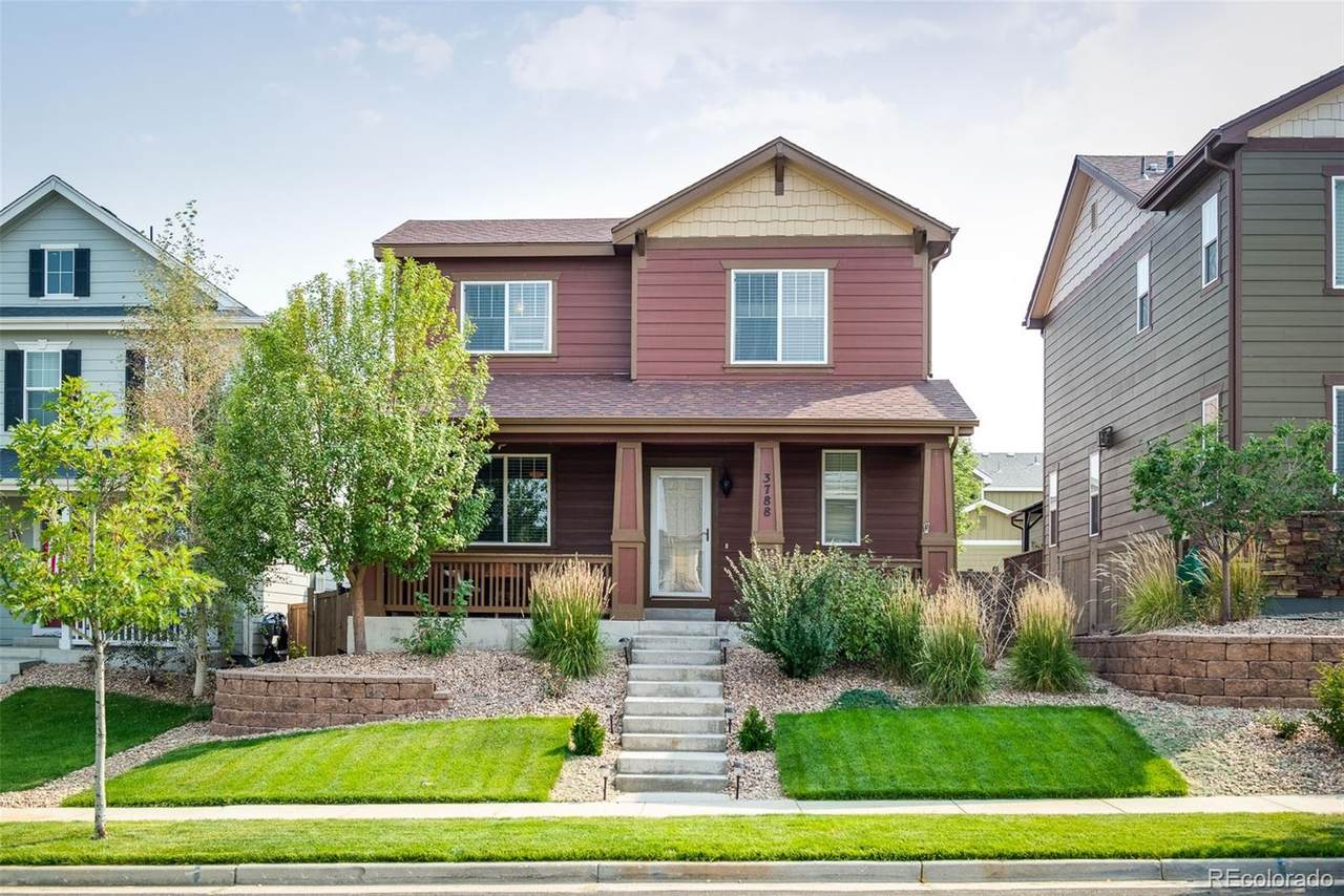 3788 Cadence Drive - Photo 1