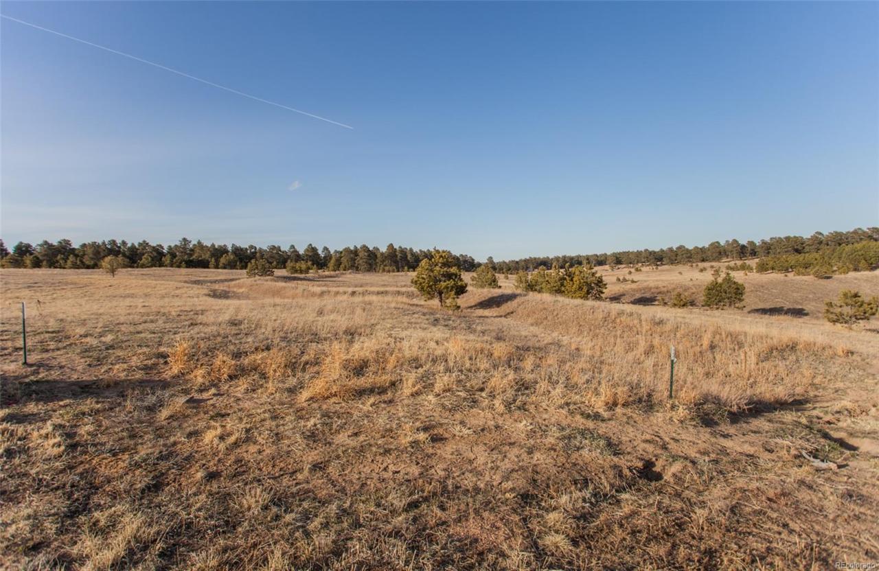 17235 Gwilym Court - Photo 1