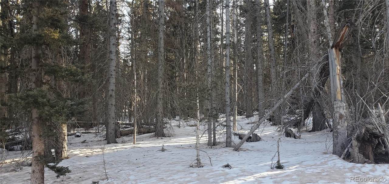 3391 Corner Of Forbes Loop & Purnell Lane - Photo 1