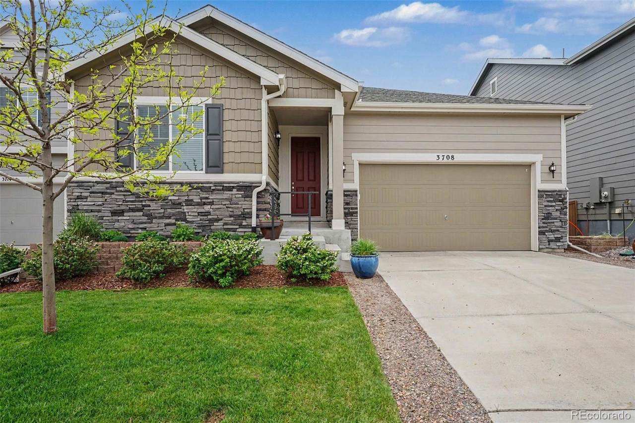 3708 White Rose Loop - Photo 1