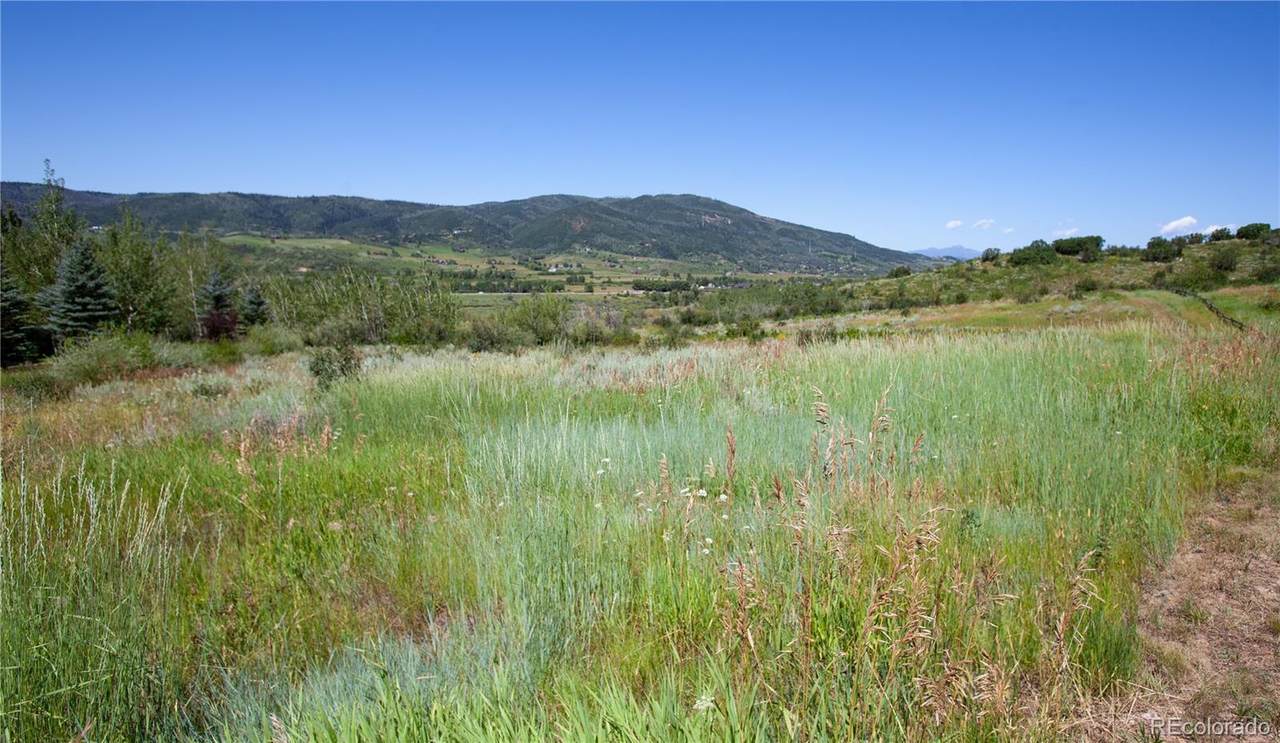 35375 Priest Creek Road - Photo 1
