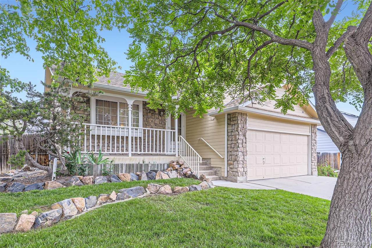 12021 Dahlia Drive - Photo 1