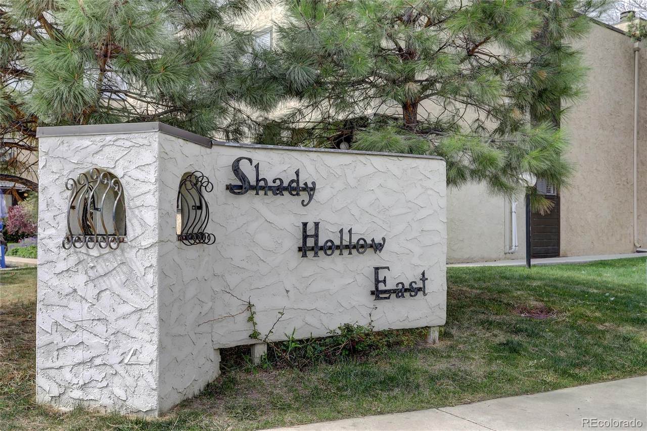 2999 Shady Hollow - Photo 1