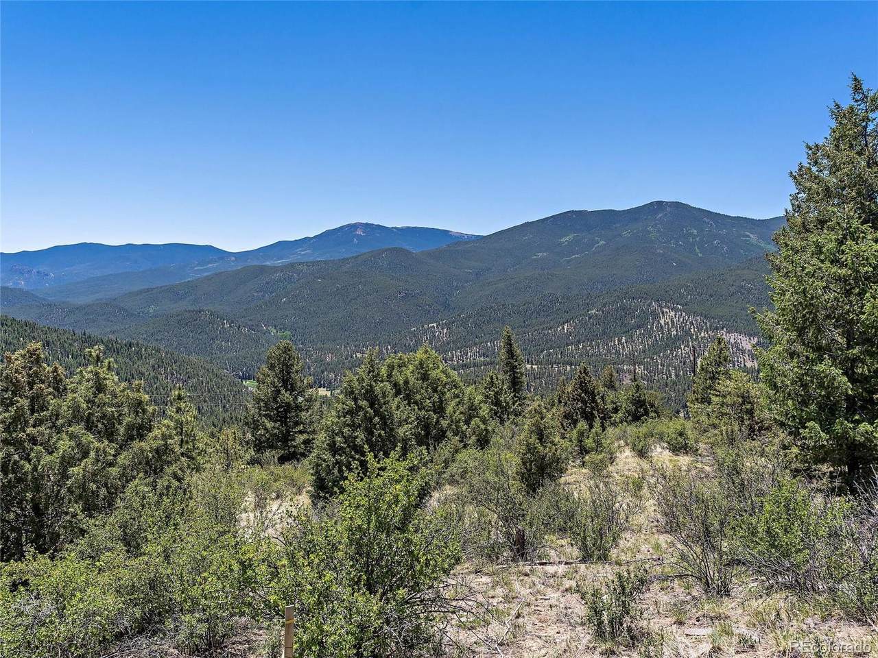 817 Pine Hollow Road - Photo 1