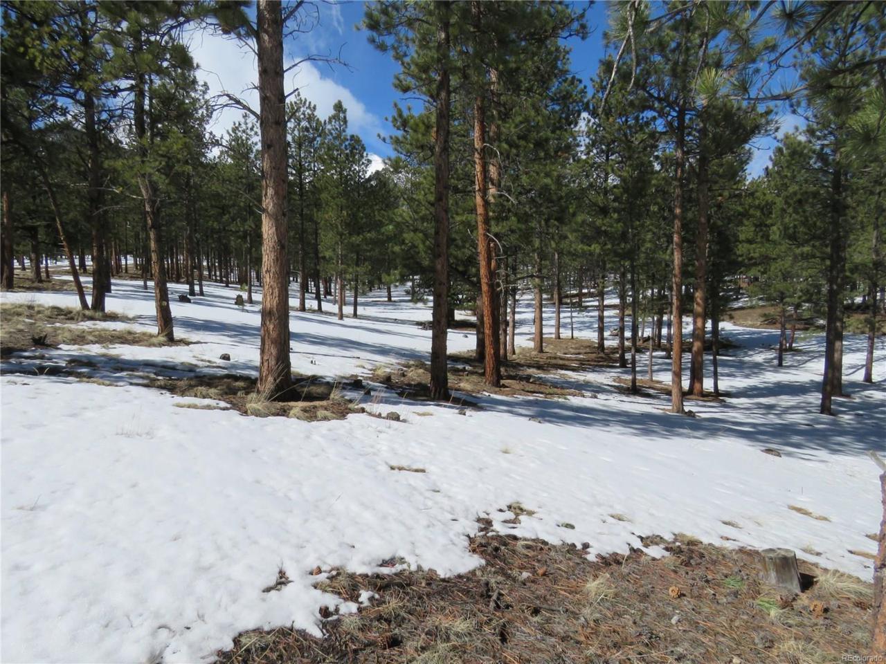 16409 Pine Grove Parkway - Photo 1