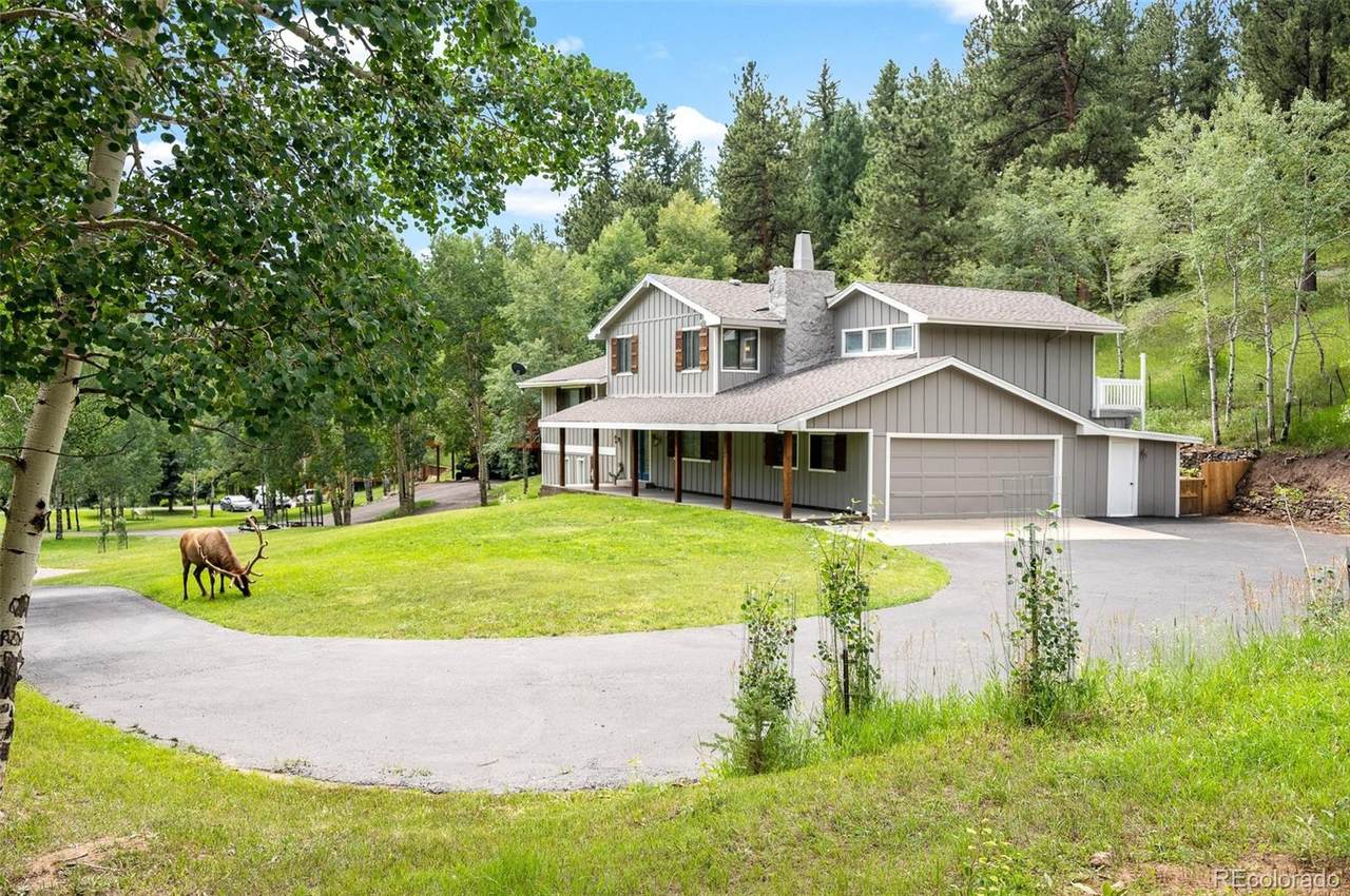 405 Witter Gulch Road - Photo 1