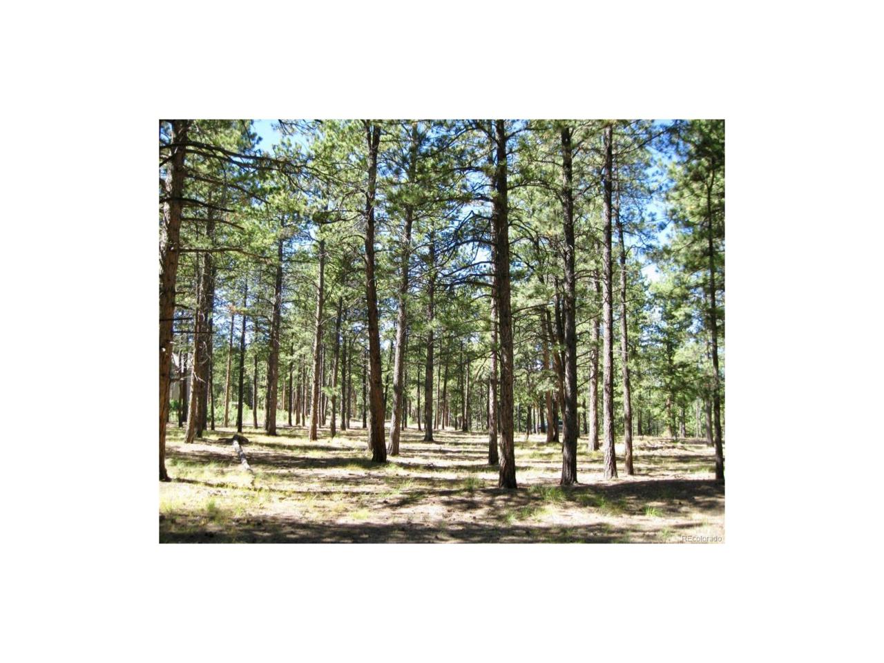 1241 Woodland Valley Ranch Drive - Photo 1