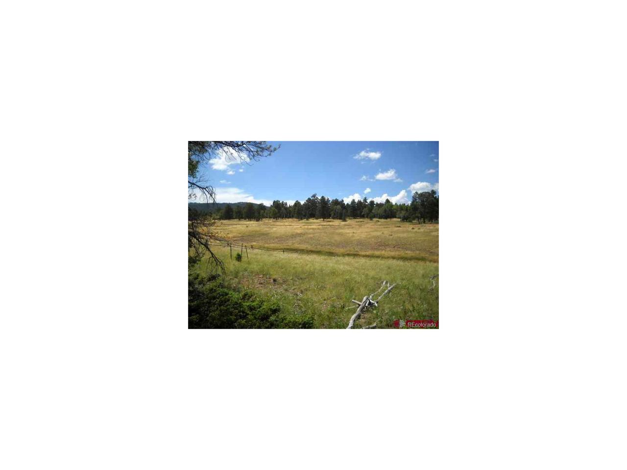 1458 Von Heyl Lane, Fort Garland, CO 81133 (MLS #8076178) :: 8z Real Estate