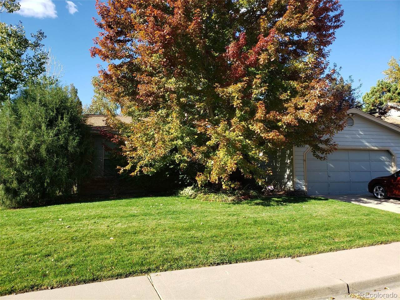 3933 Bosque Court - Photo 1 3933 Bosque Court - Photo 1