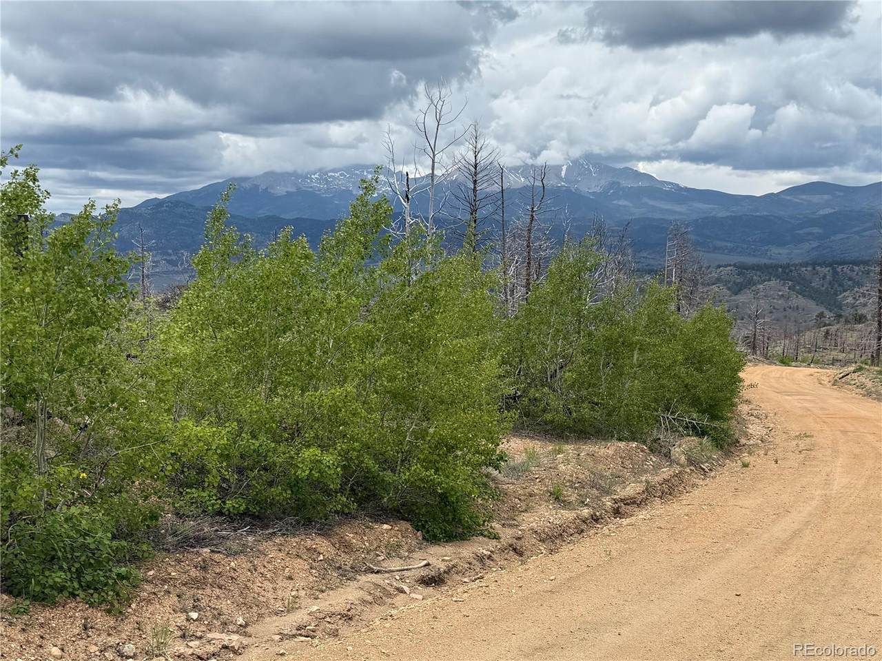 Lot 383 Soubry Place - Photo 1