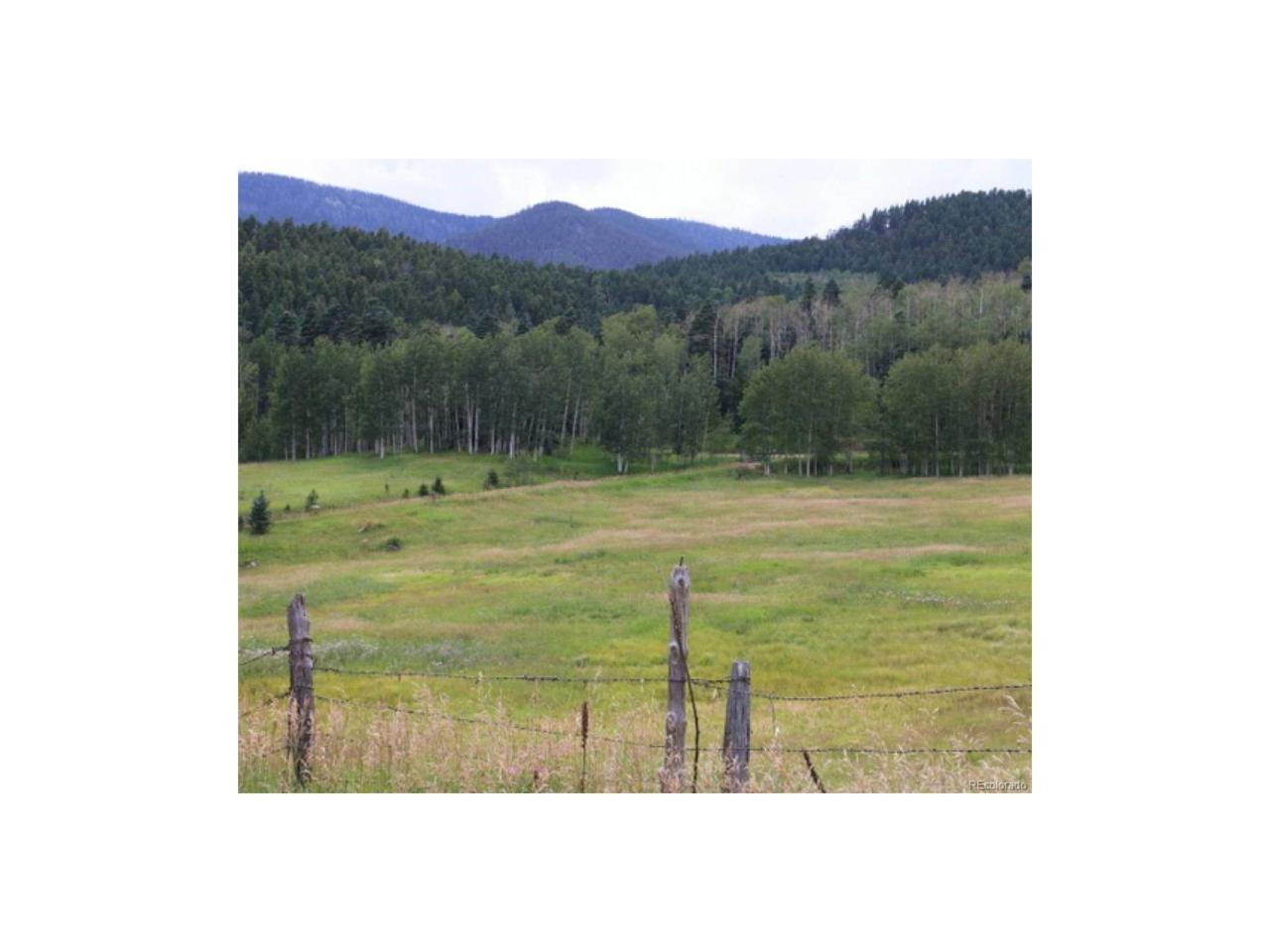9749 State Highway 165 - Photo 1