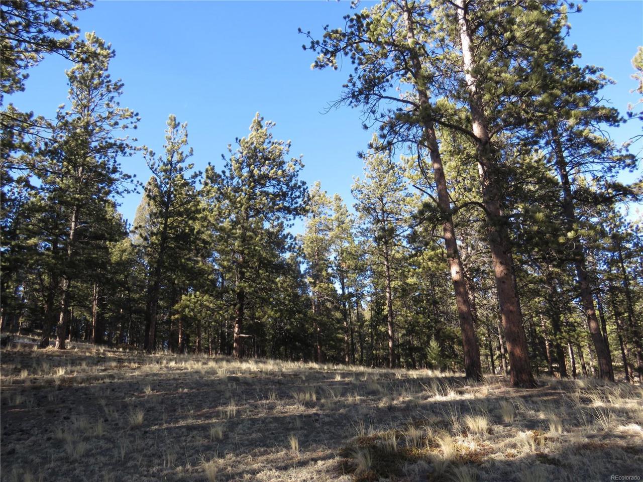 39 Rabbil Creek Trail - Photo 1