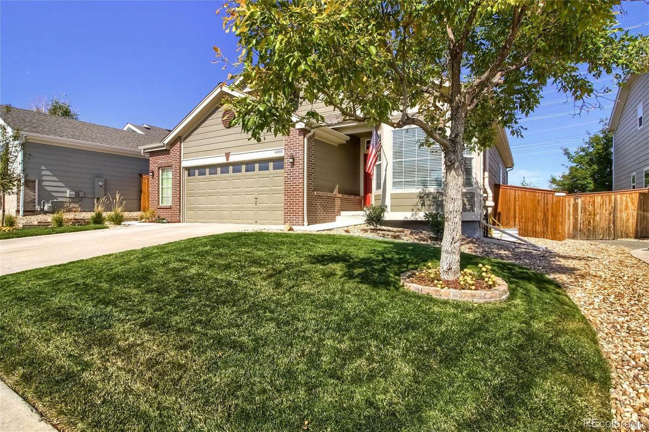16695 Trail Sky Circle - Photo 1