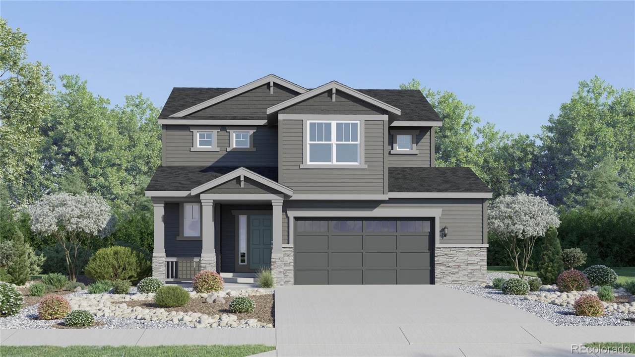 6429 Horned Lark Street - Photo 1