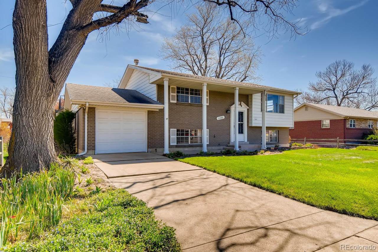 11460 Irma Drive - Photo 1 11460 Irma Drive - Photo 1