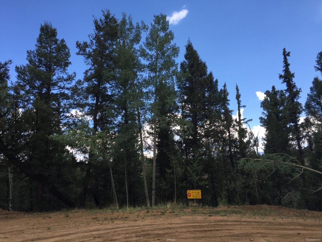 278 Wikiup Circle, Como, CO 80432 (MLS #8315874) :: 8z Real Estate