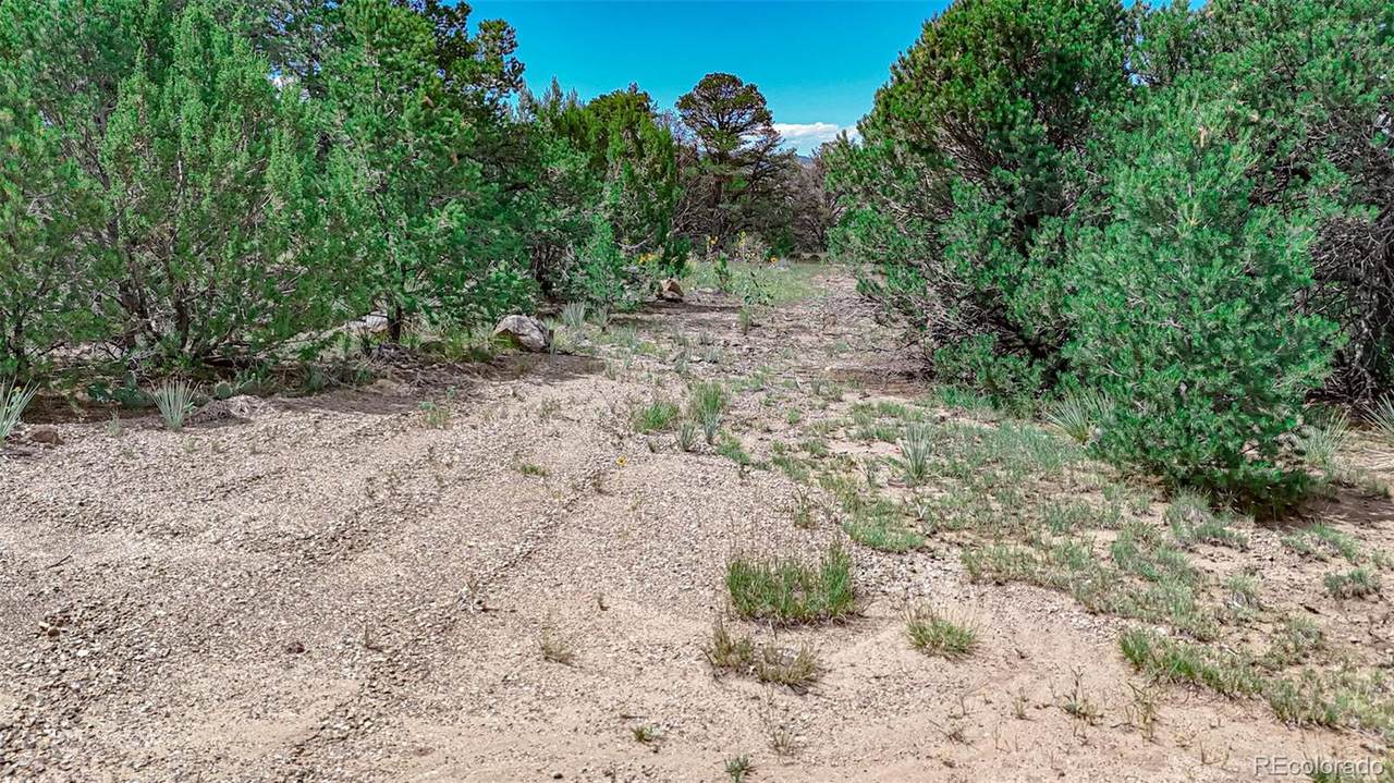 11771 Diamond View Road - Photo 1