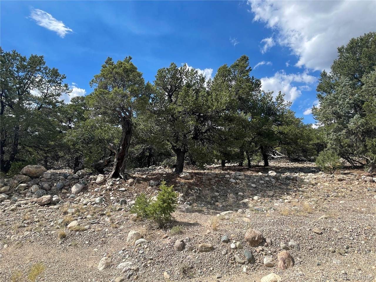 2723 Happy Hollow Way - Photo 1