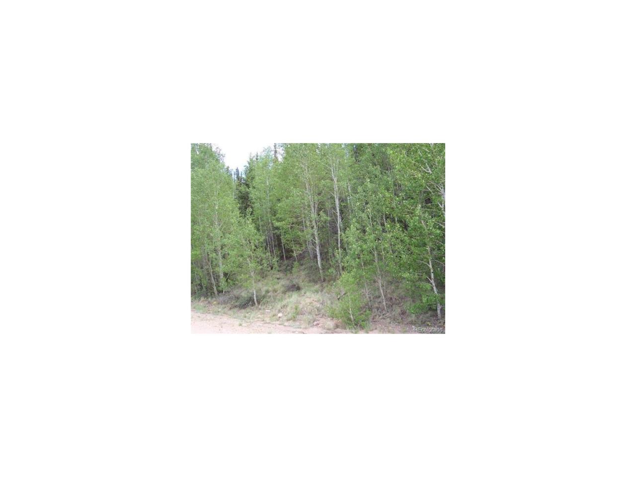 674 Swiggler Road - Photo 1