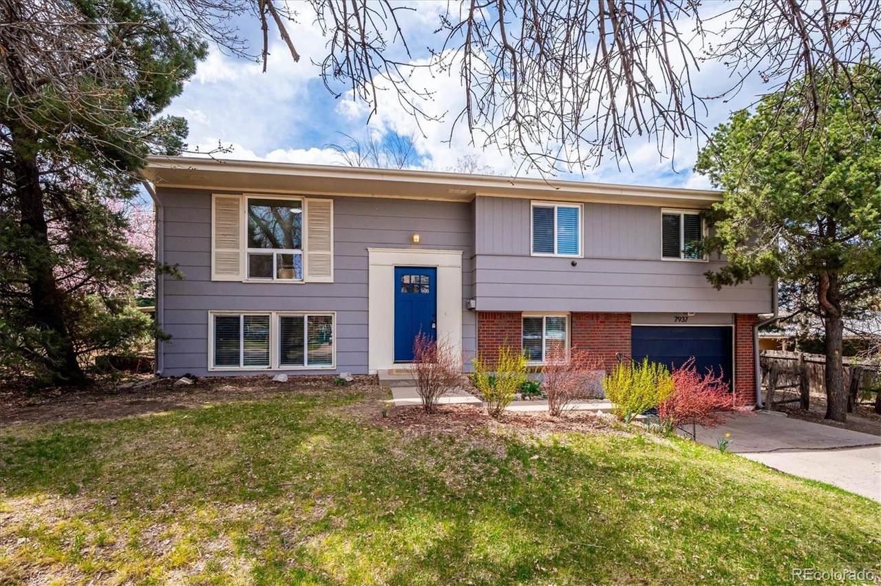 7937 Chestnut Drive - Photo 1