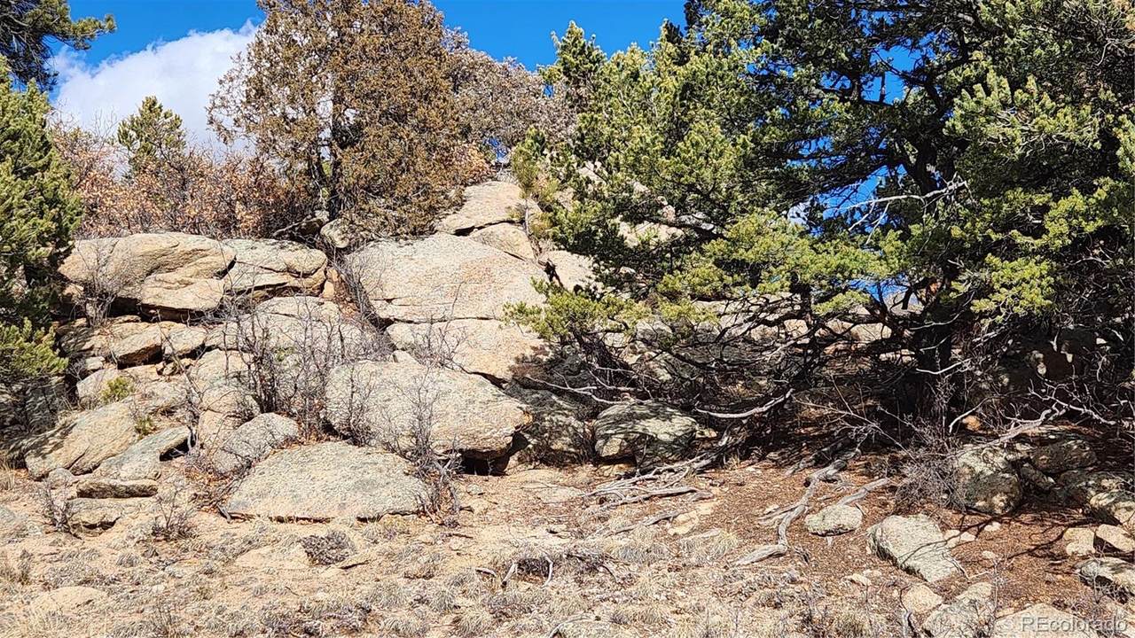 47 White Cloud Drive - Photo 1