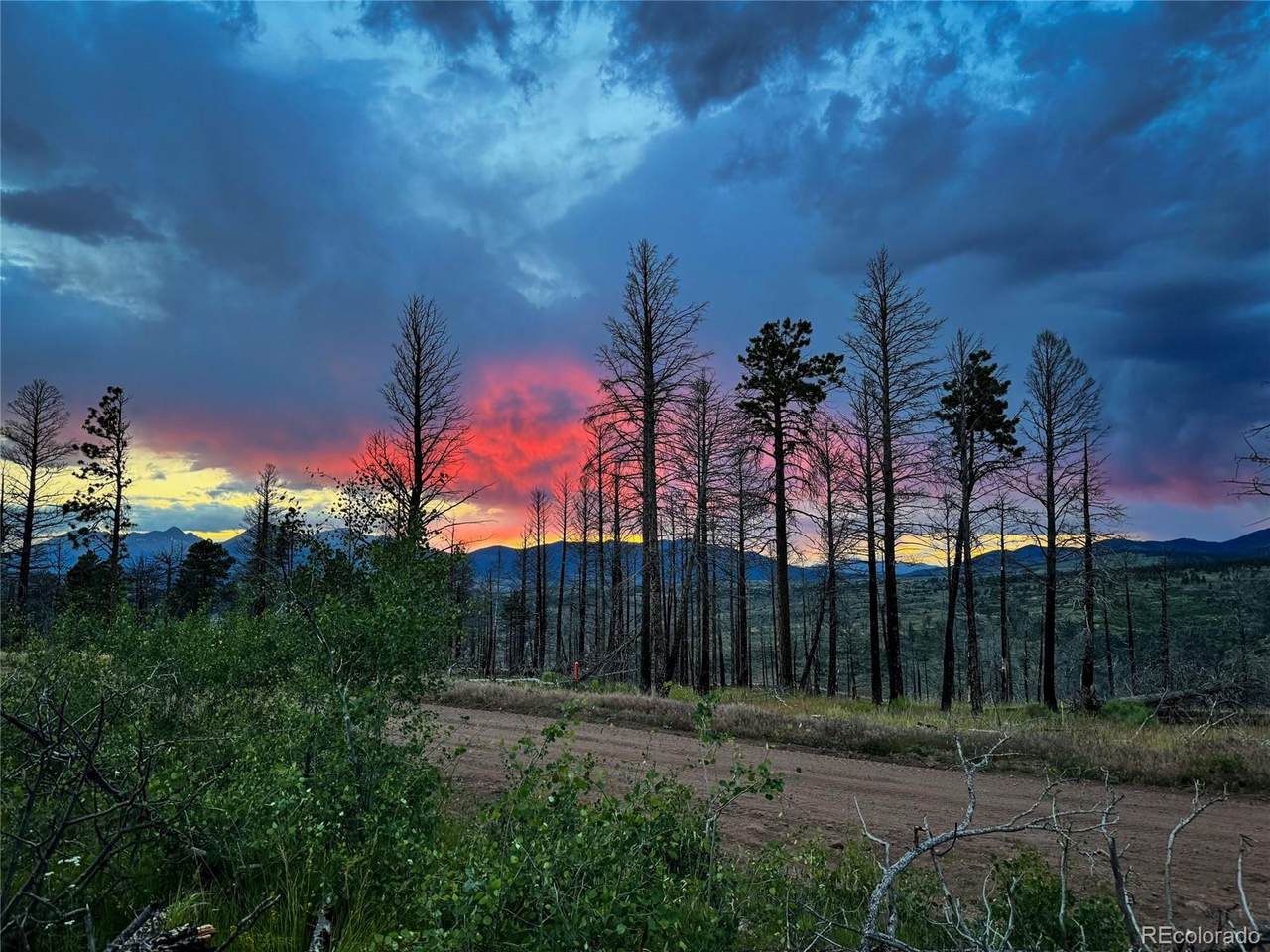 LOT 591 Leslie Loop - Photo 1