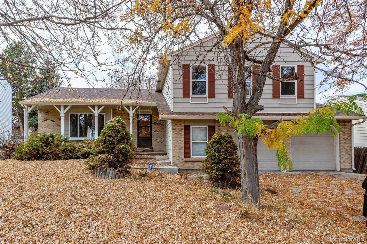 1481 Yampa Way - Photo 1