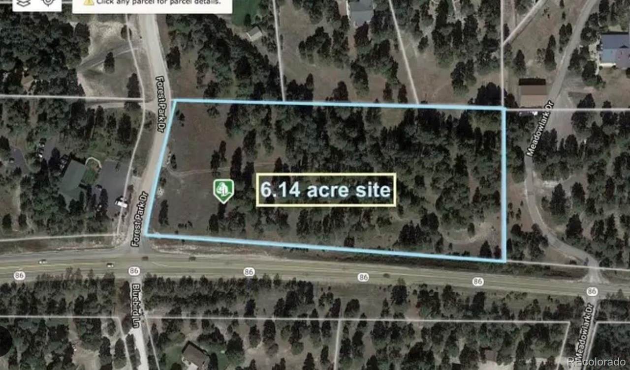 34050 Forest Park Drive - Photo 1