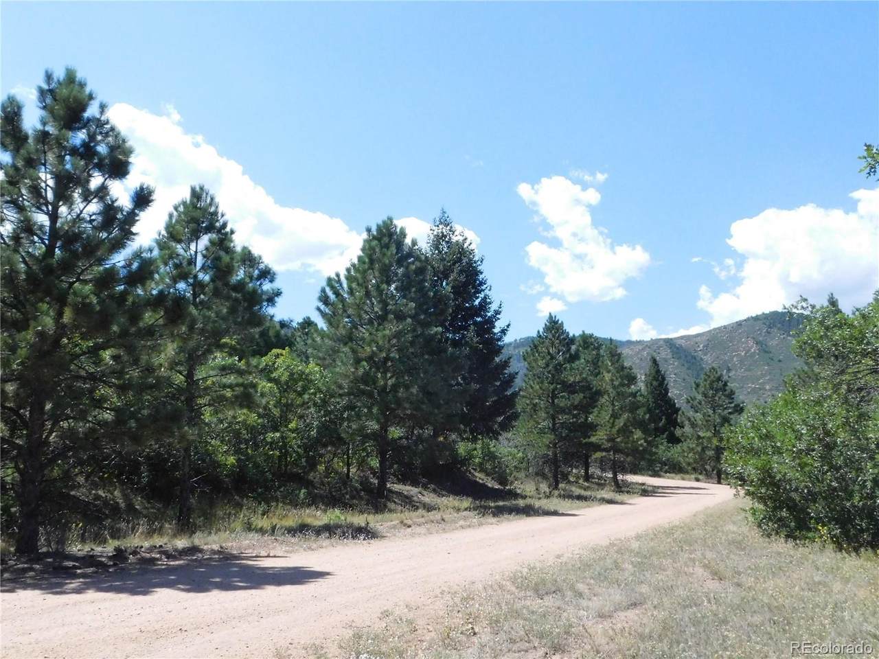 6344 Troon Court - Photo 1