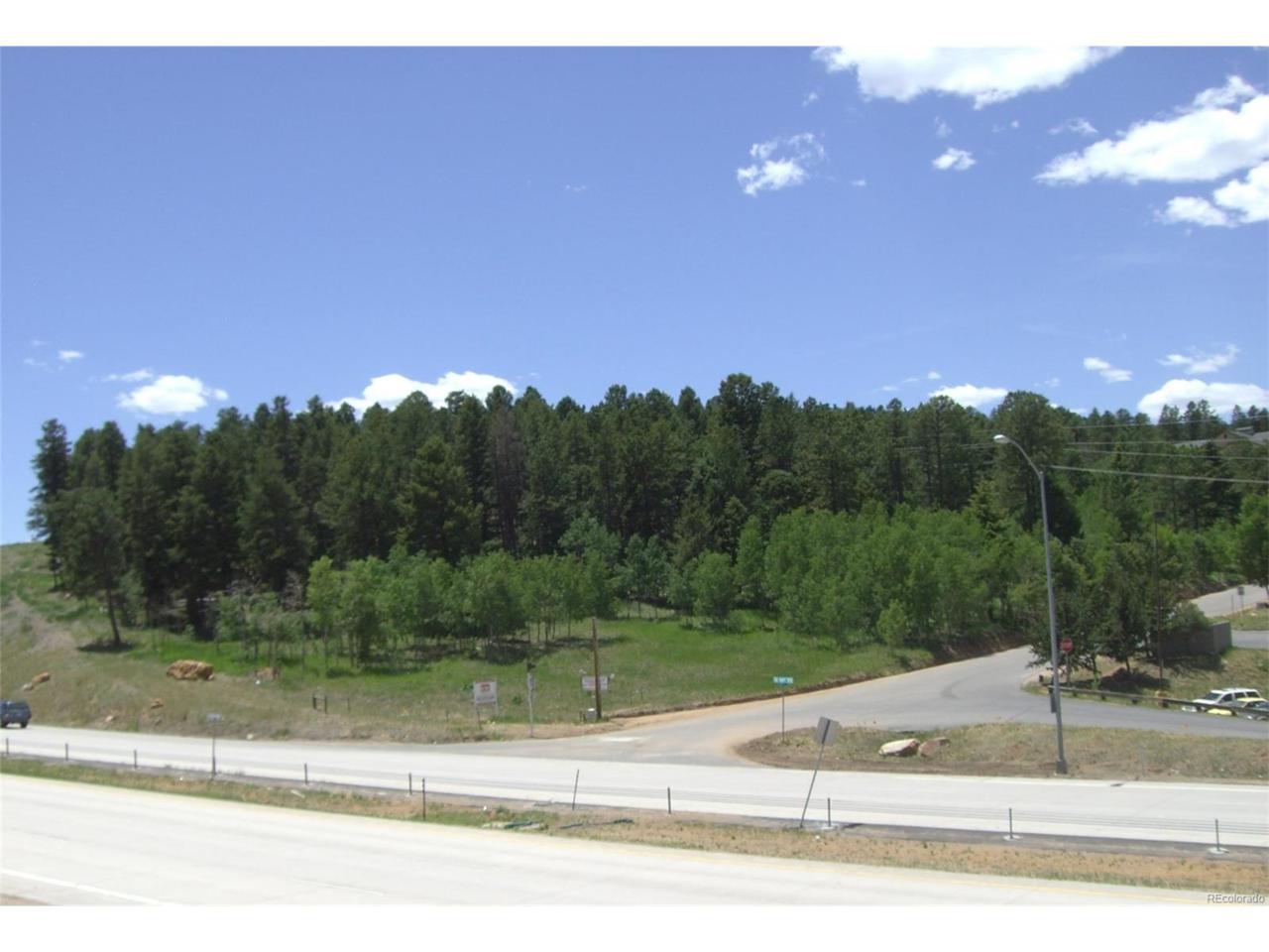10995 Us Highway 285 - Photo 1
