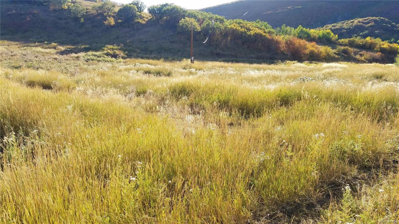 29390 Highway 131 - Photo 1