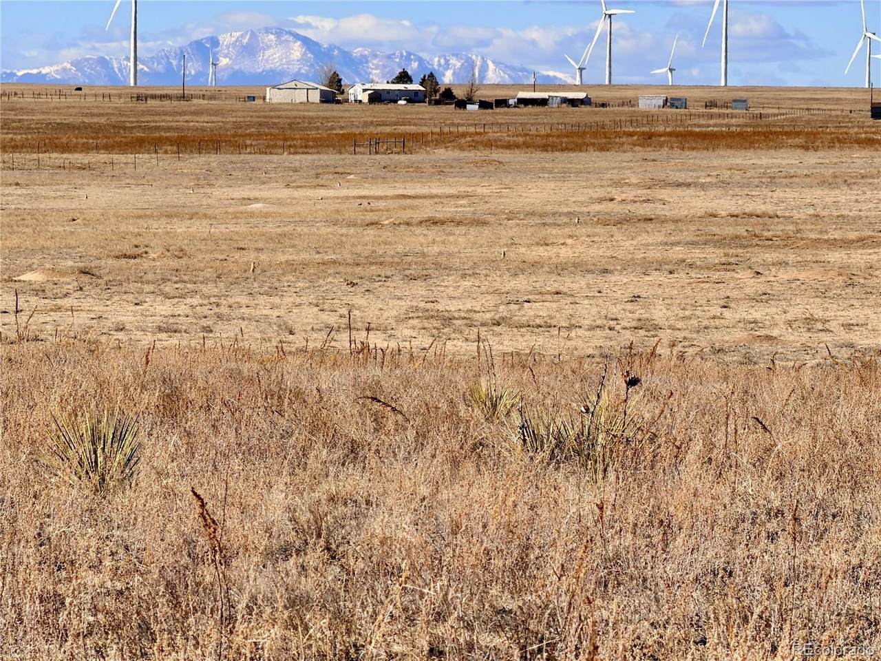 9320 Mulberry Road - Photo 1