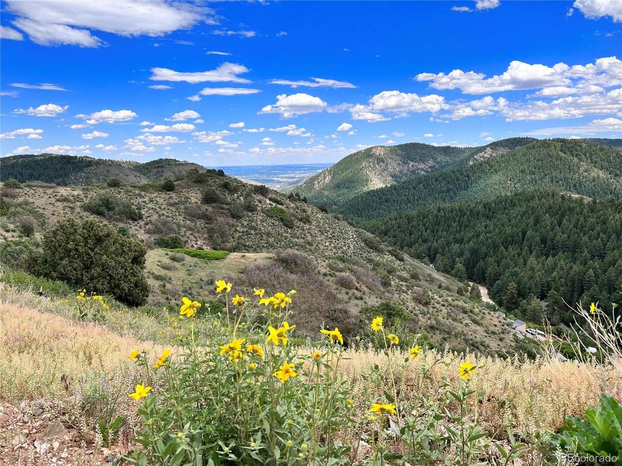 0 Canyon Road - Photo 1