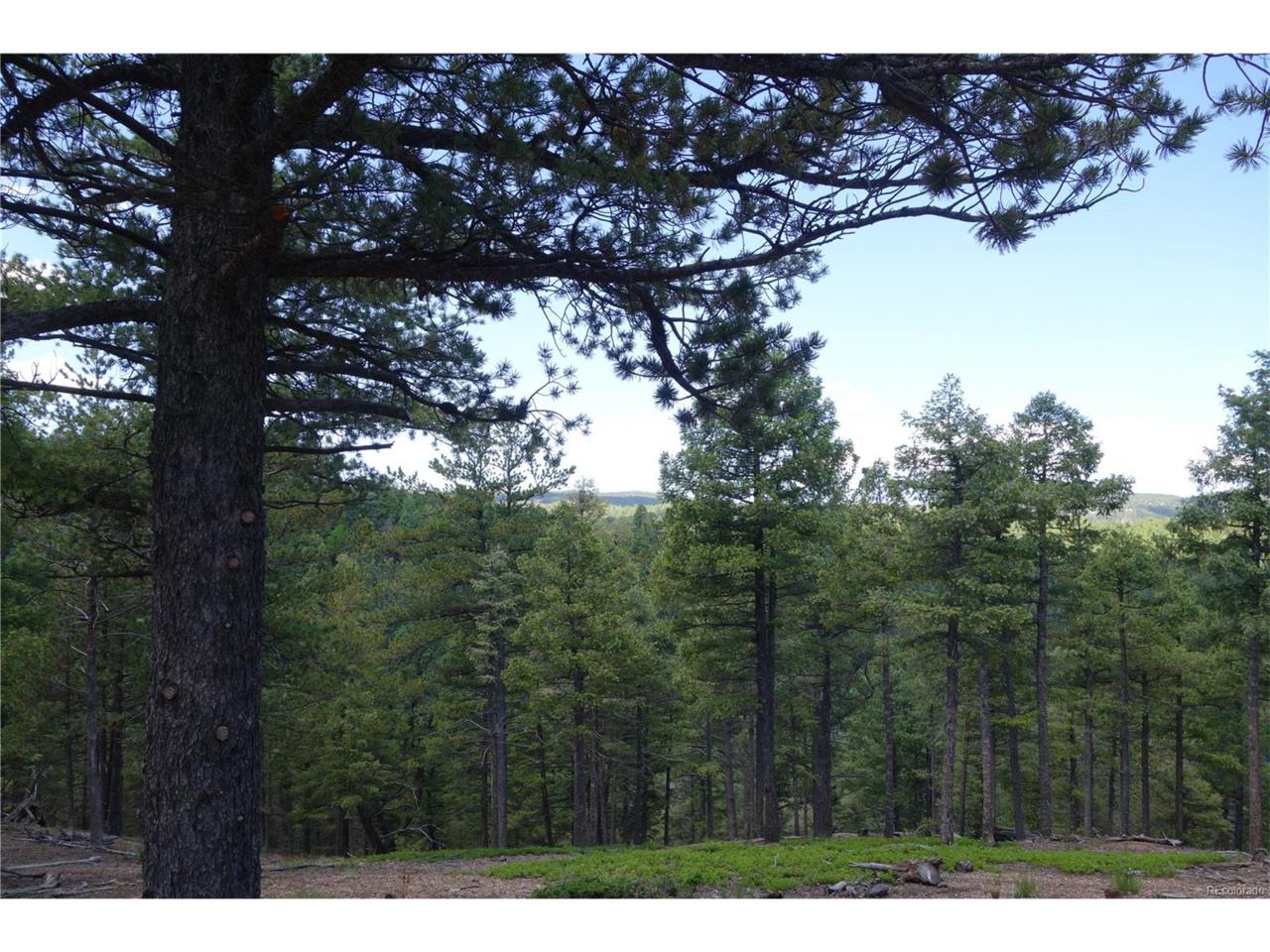 4054 Forest Lane - Photo 1